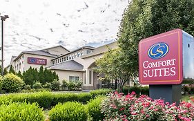 Comfort Suites Columbus Expo Center